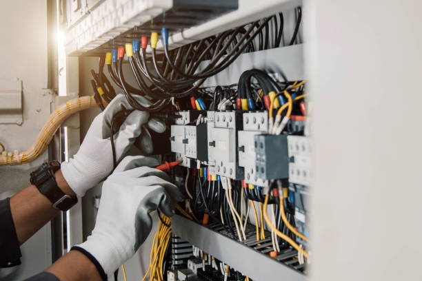 Best Electric Panel Repair  in Lockhart, FL